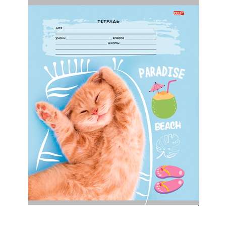 Тетрадь 18 л цветная обложка Profit Клетка креативные коты комплект 10 штук