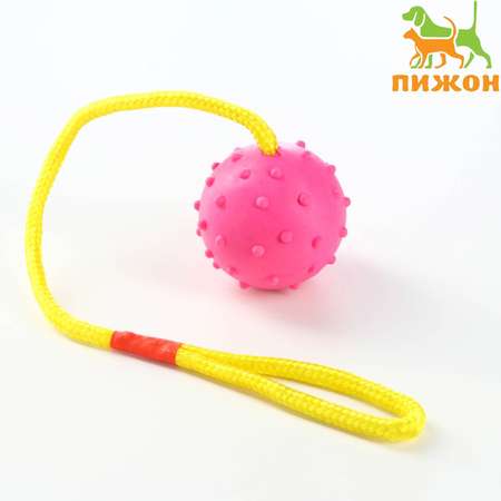 Игрушка Пижон мяч на веревке 6 см розовая