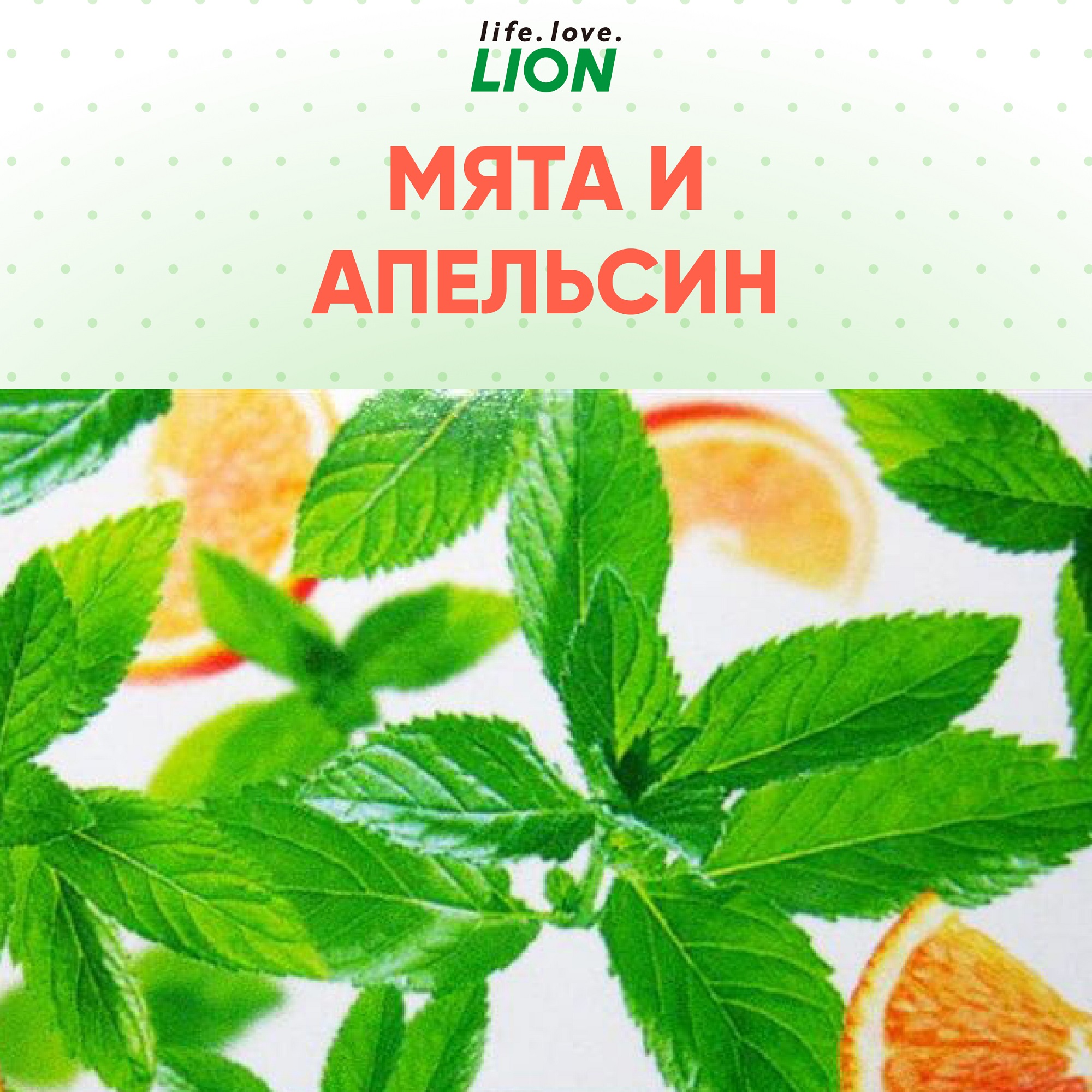 Зубная паста LION комплексный уход со вкусом апельсина systema total care 120 гр - фото 2