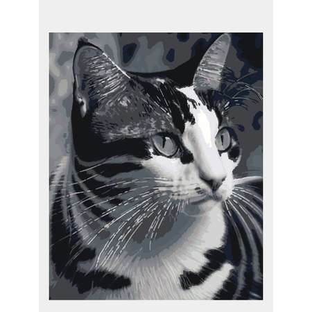 Картина по номерам 50х40 Selfica Полосатый котик