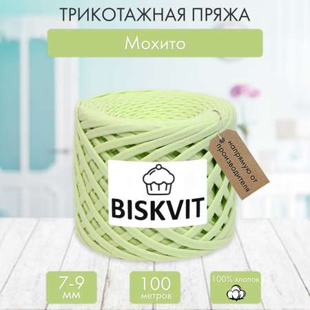 Трикотажная пряжа BISKVIT Мохито