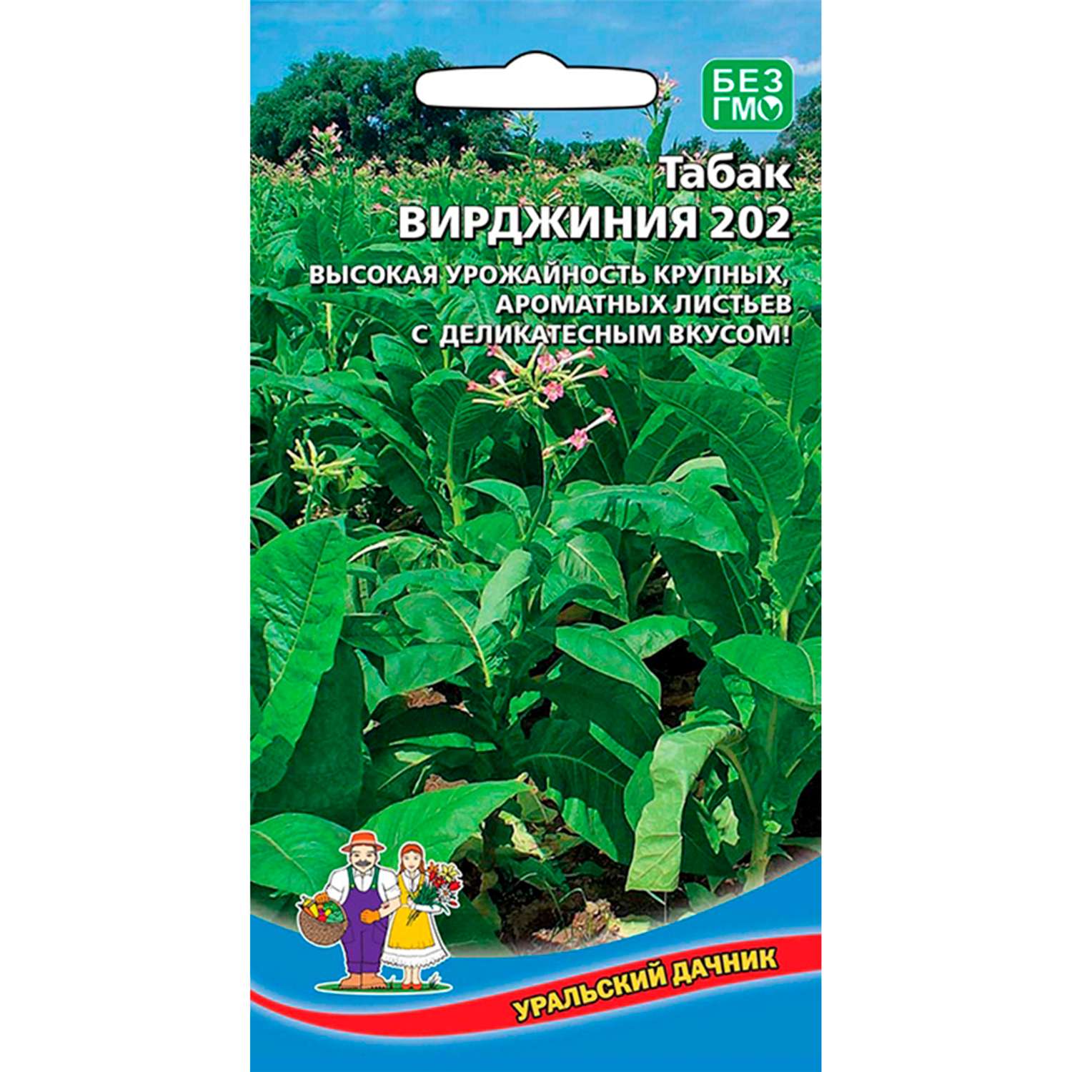 Сорт табака вирджиния описание. Табак курительный Вирджиния 202. Табак Вирджиния 202 Уральский Дачник. Душистый табак Вирджиния.