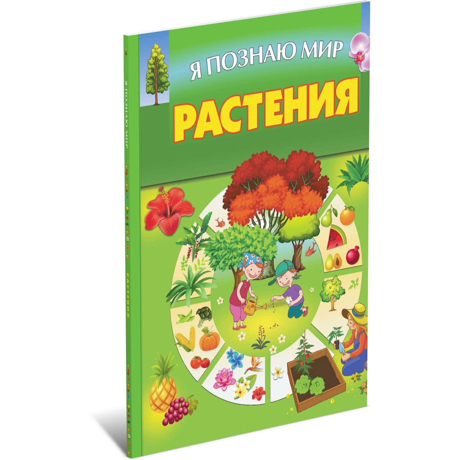 Книга Харвест Я познаю мир. Растения. Первая энциклопедия малыша - фото 1