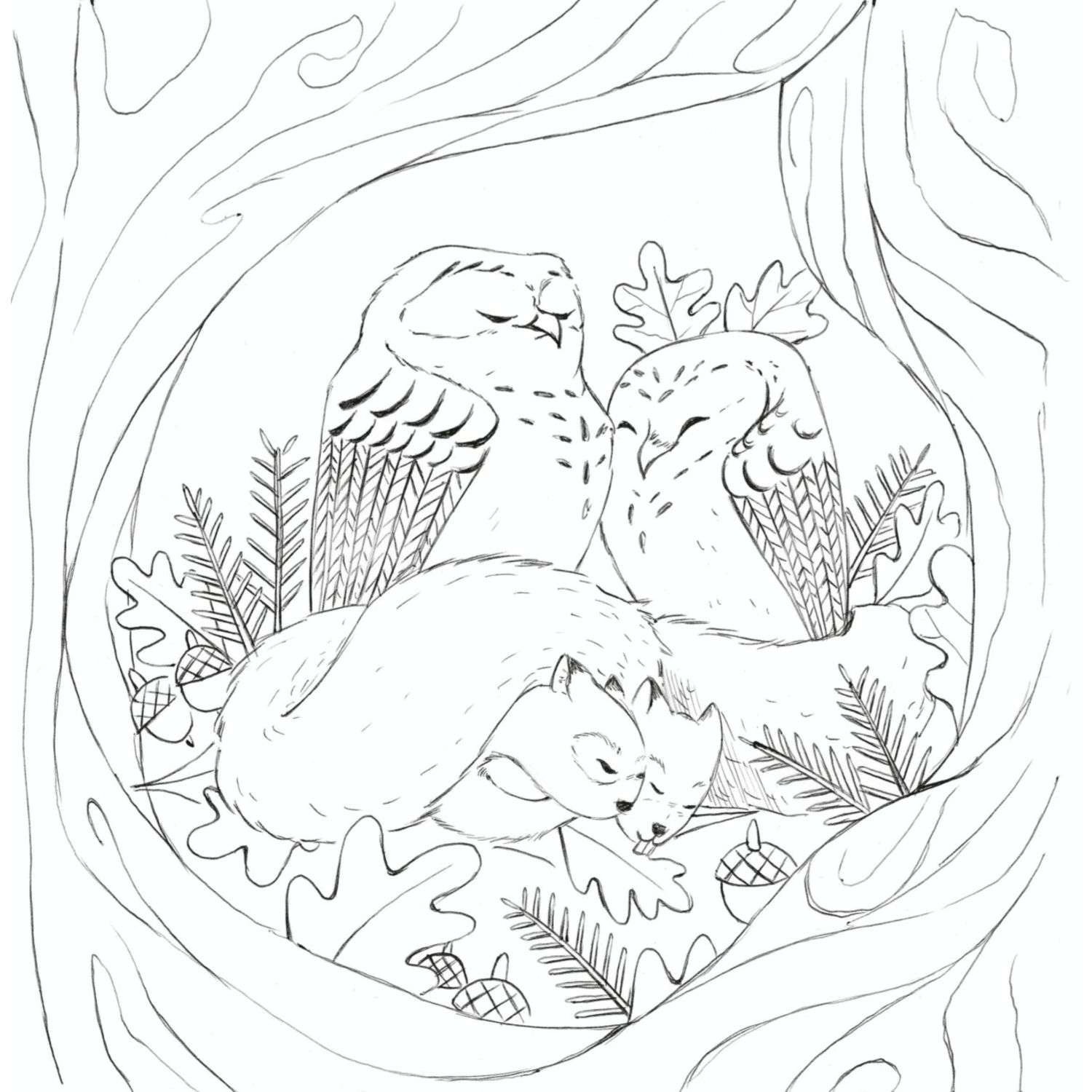 Раскраска Мои очаровательные пушистые друзья Раскрашиваем 100 иллюстраций самых милых животных - фото 7