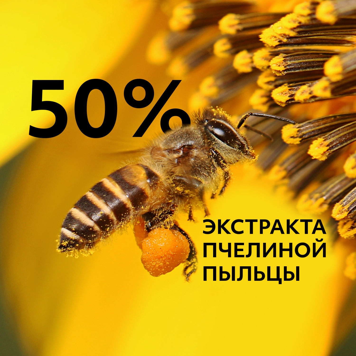 Эмульсия MISSHA для лица с экстр пчелиной пыльцы Bee Pollen Renew Intense Moisturiser 130мл - фото 7