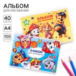 Набор альбомов для рисования на скрепке Paw Patrol 40 листов 2 штуки