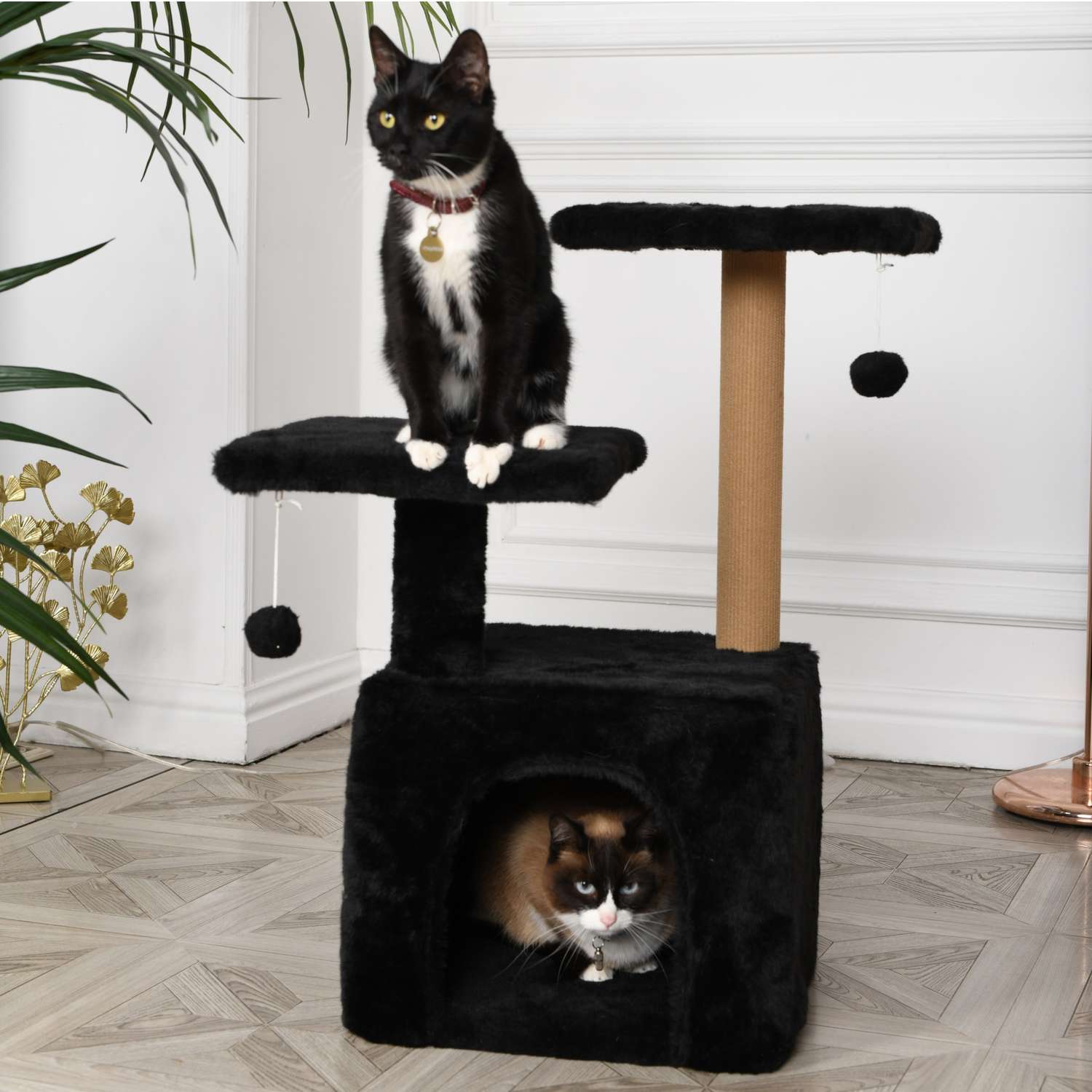 Когтеточка для кошек домик БРИСИ Черный - фото 1