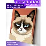 Алмазная мозаика Art on Canvas холст на деревянном подрамнике 40х50 см Сердитый кот