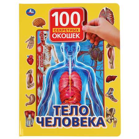 Книга УМка Тело человека 293558