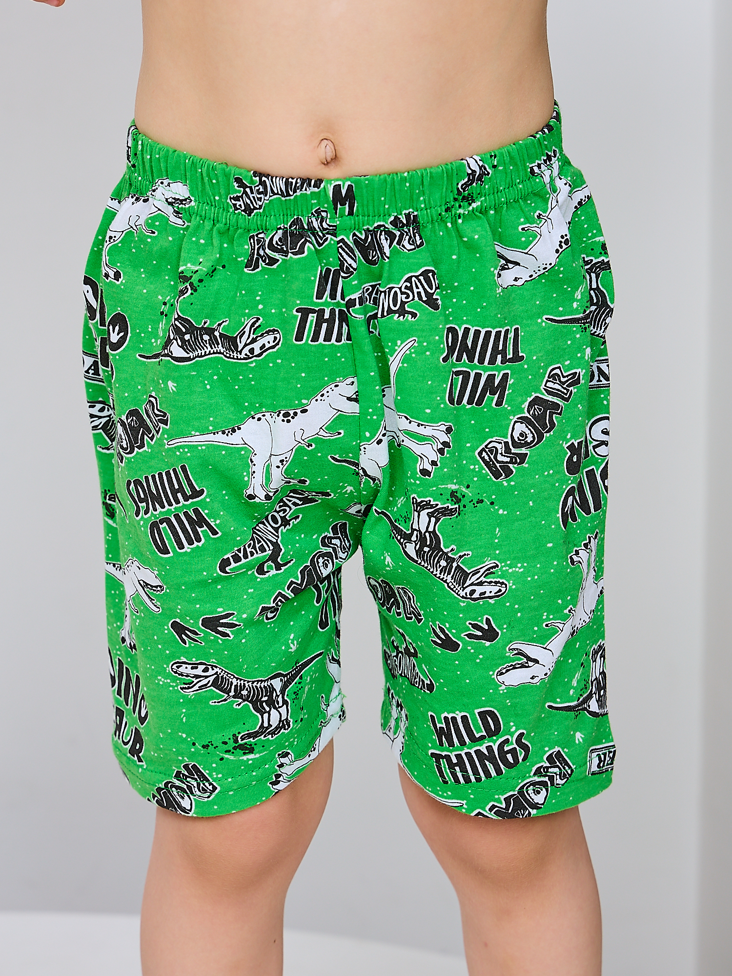 Костюм Mil Art kids 1902201547SUIT-SHORTS-LETO-GREEN - фото 9