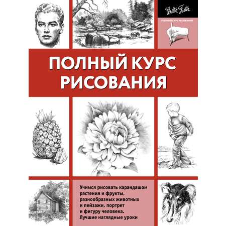 Книга АСТ Полный курс рисования