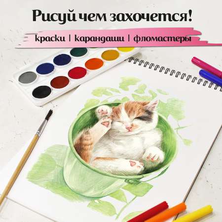 Альбом для рисования ШКОЛЬНЫЙ МИР Милые котята 2 шт по 40 листов