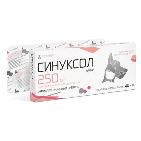 Таблетки Nita-Farm Синуксол-Нита 250мг №10 (амоксициллин + клавулановая кислота)