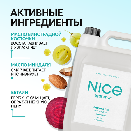 Гель для душа NICE by Septivit Arctic chill 5л