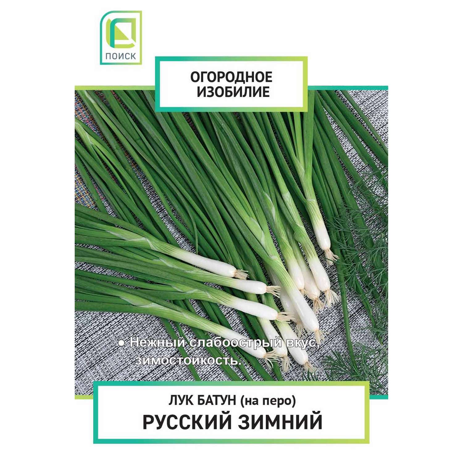 Лук батун (на зелень) Русский зимний (Огородное изобилие) 1г - фото 1