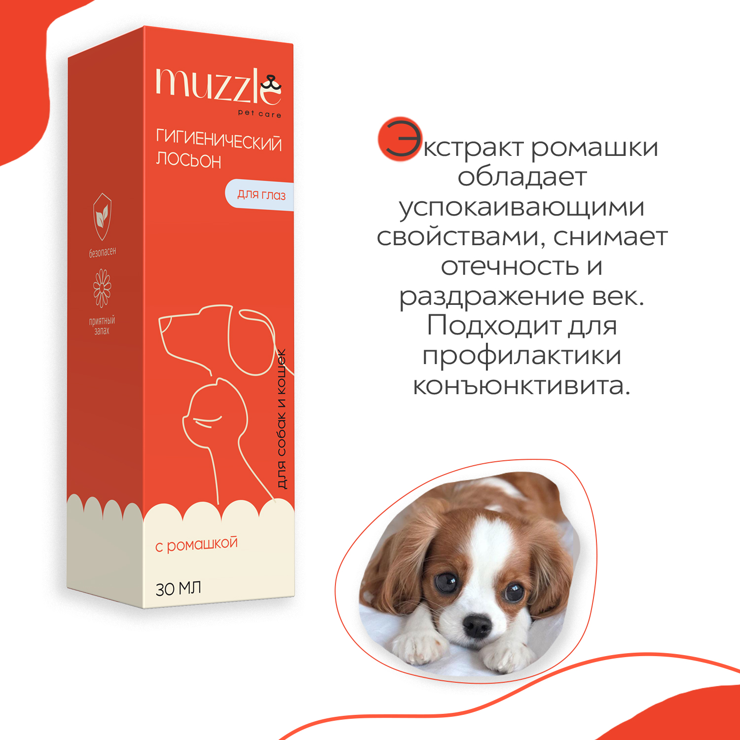 Лосьон для глаз собак и кошек Muzzle С ромашкой 30мл купить по цене 197 ₽ с  доставкой в Москве и России, отзывы, фото