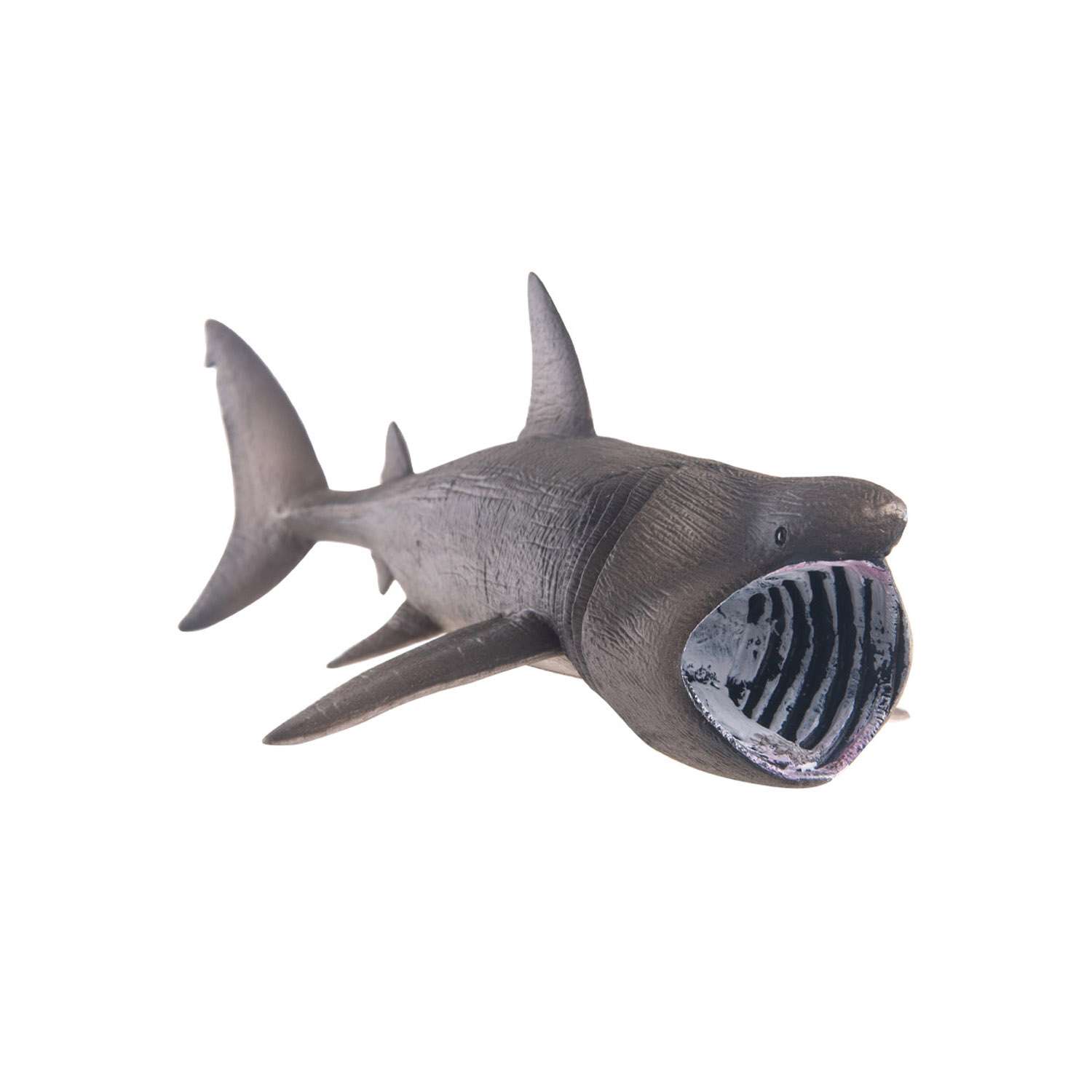 Картинки акулы мегалодон
