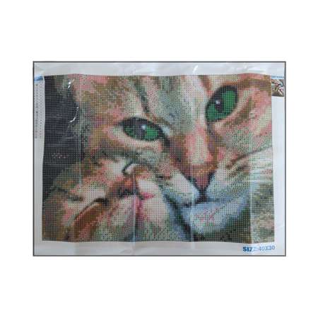 Алмазная мозаика Seichi Кошка с котёнком 30х40 см