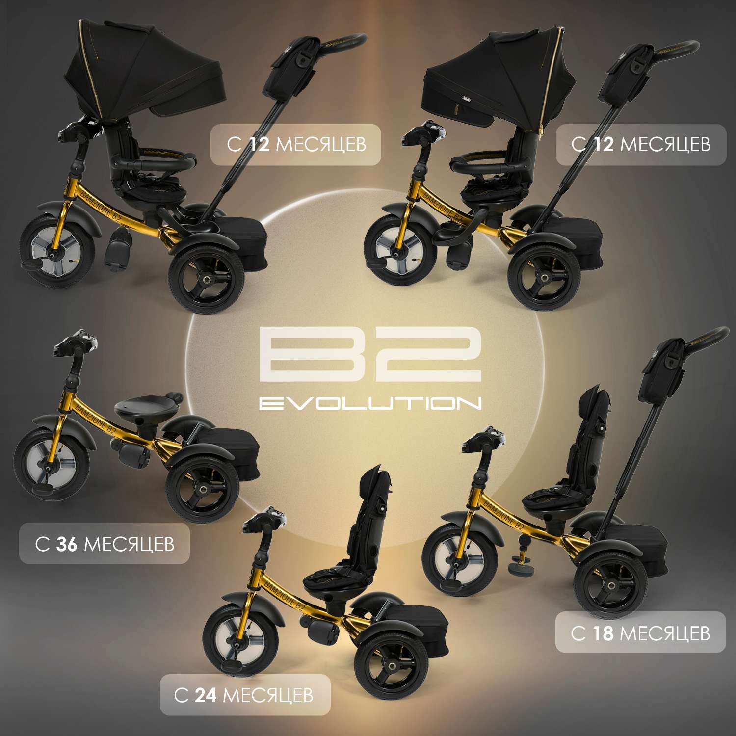 Best 2024 trike 4490