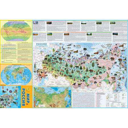 Карта складная Атлас Принт Мир и Россия. Природные зоны животные и растения