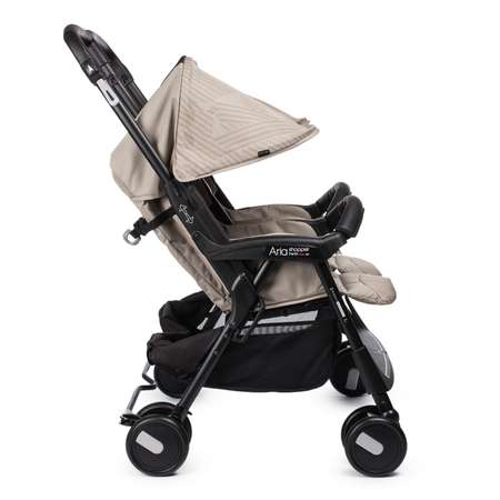 Коляска для двойни Peg-Perego Aria Shopper Twin Geo Beige