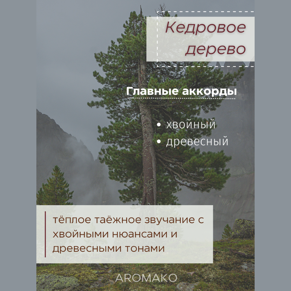 Масло для увлажнителей AromaKo Кедровое дерево 5 мл - фото 2