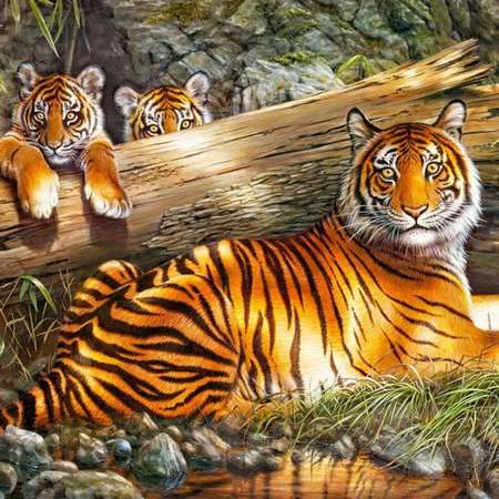 Пазл Sima-Land Тигры мирный отдых 1000 элементов
