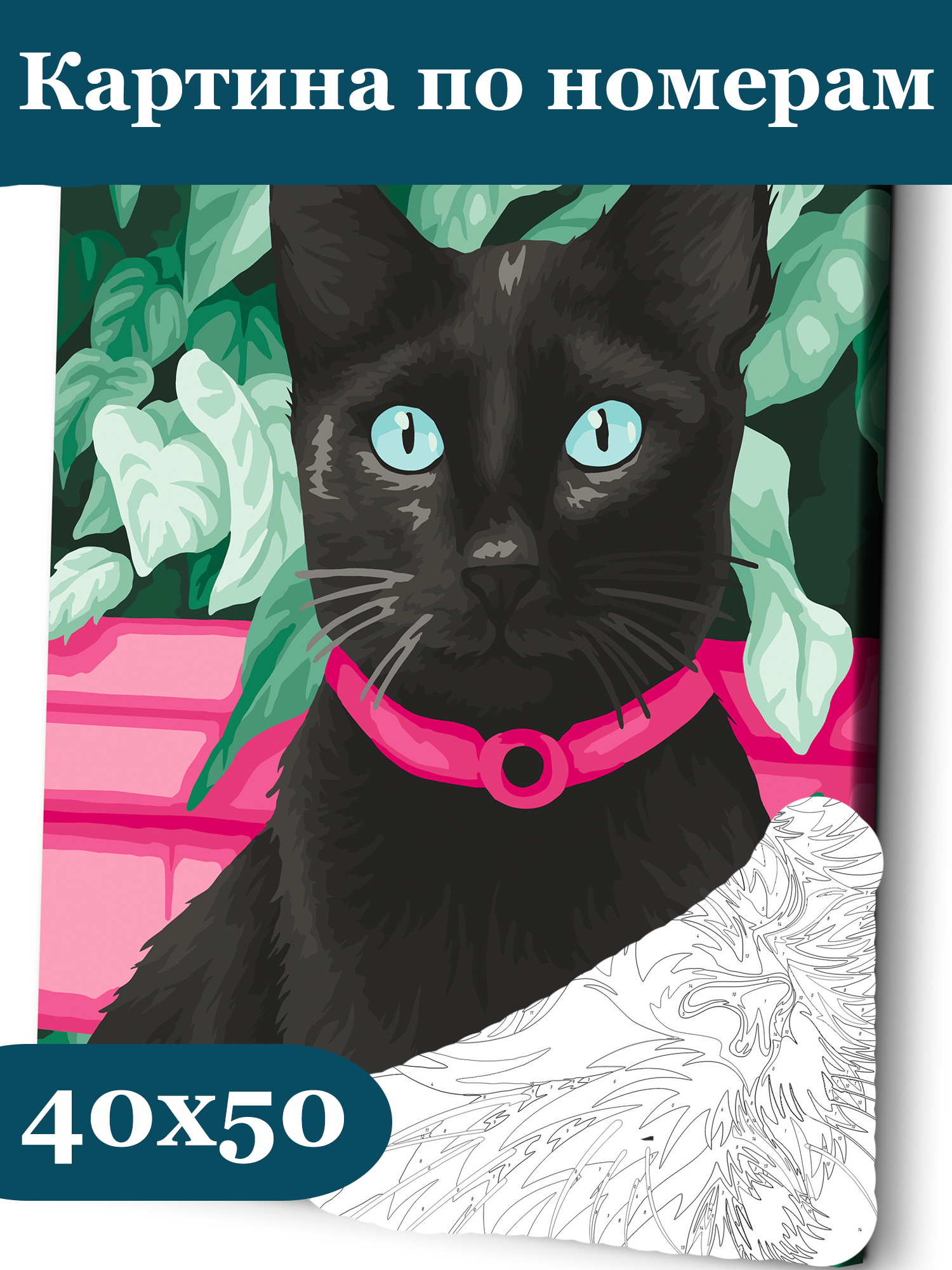 Картина по номерам Art sensation холст на подрамнике 40х50 см Черный кот - фото 1