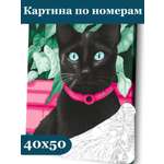 Картина по номерам Art sensation холст на подрамнике 40х50 см Черный кот