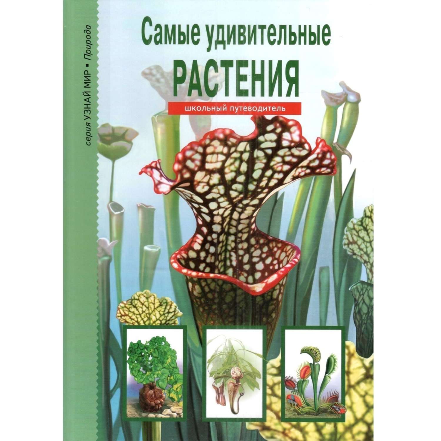 Книга Лада Самые удивительные растения. Школьный путеводитель - фото 1