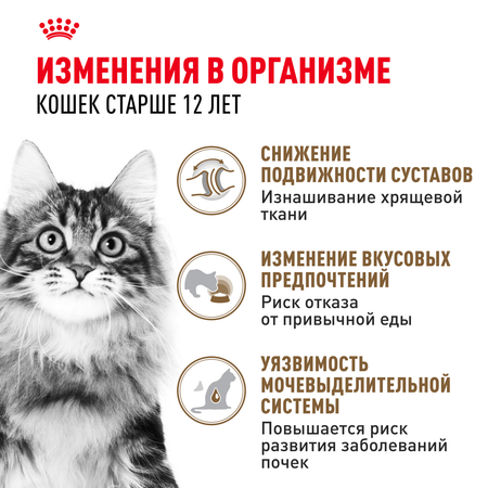 Корм для кошек ROYAL CANIN Ageing 85гр для пожилых 12+ желе соус пауч