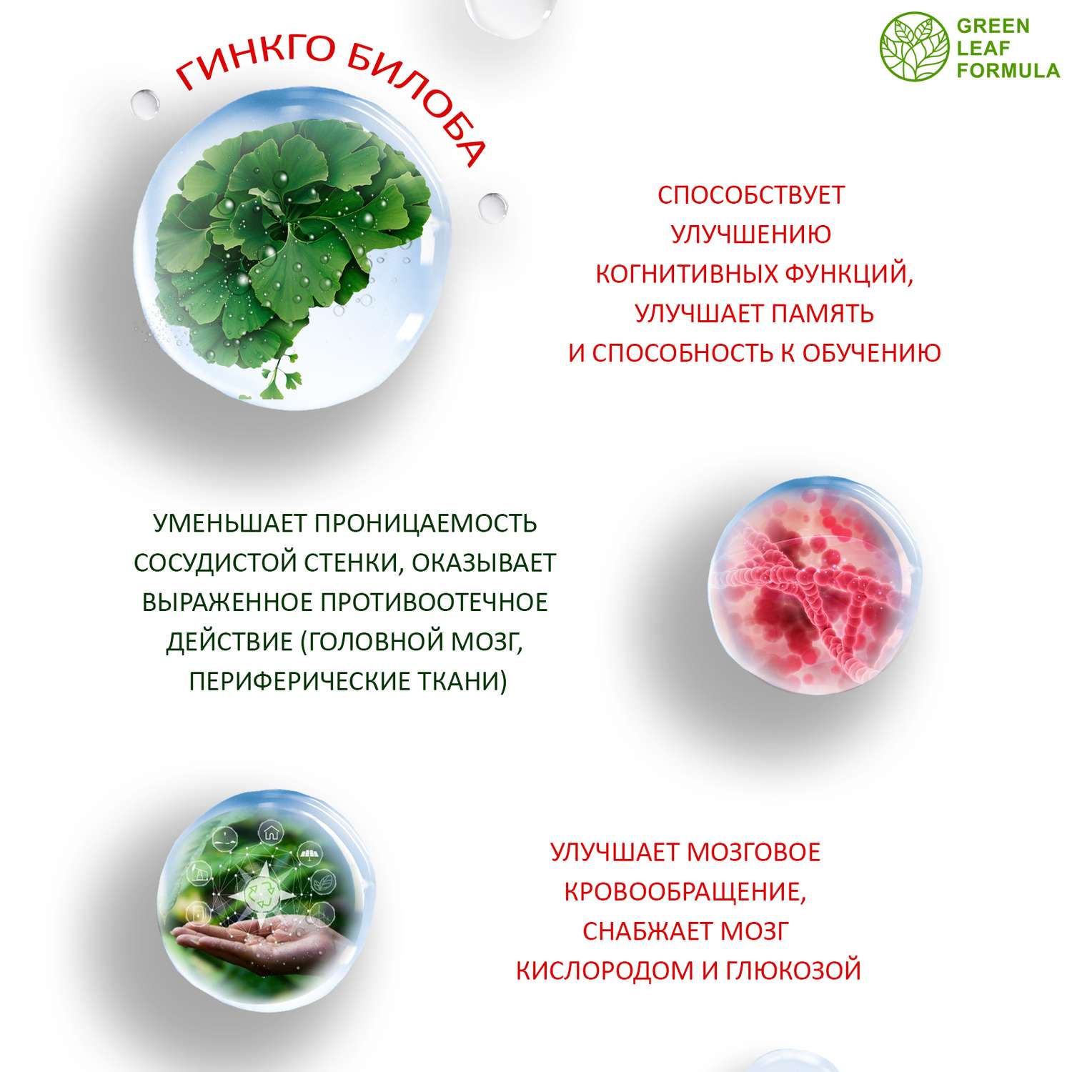 Набор витаминов для мужчин Green Leaf Formula для мозга и нервной системы от простатита для тестостерона для иммунитета 2 банки - фото 6