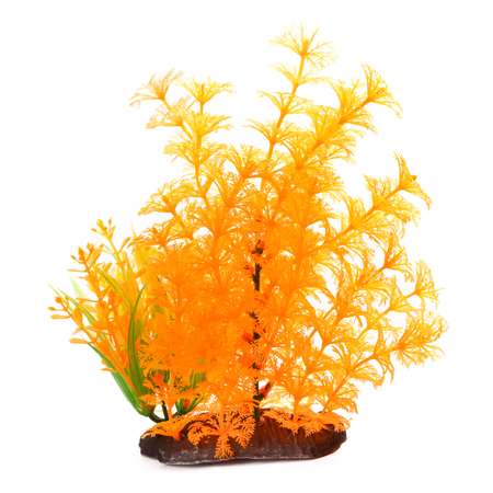 Растение для аквариума FAUNA Композиция-70 FIAD-1316