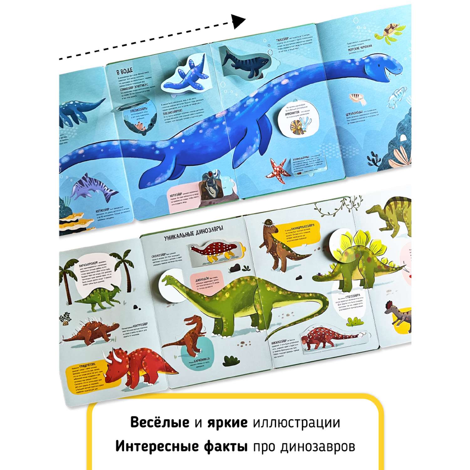 Книга с окошками и pop up Счастье внутри из научной серии Дискавери с интерактивными страницами Динозавры - фото 6