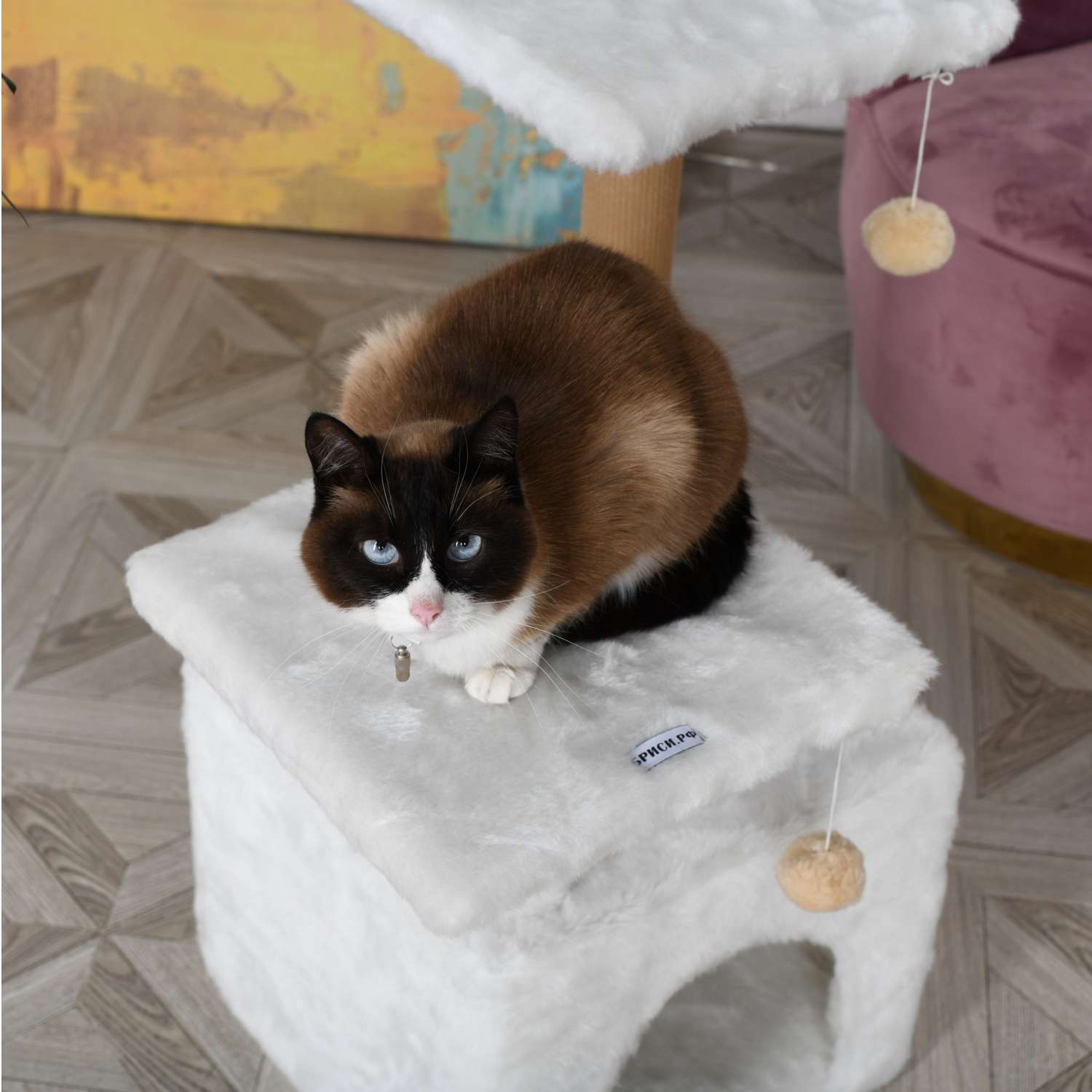 Когтеточка для кошек домик БРИСИ Белый - фото 4