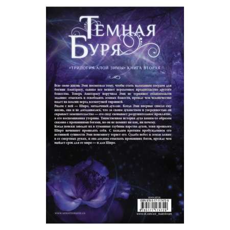 Книга АСТ Темная буря