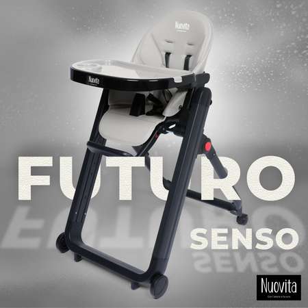 Стульчик для кормления Nuovita Futuro Senso Nero Серый