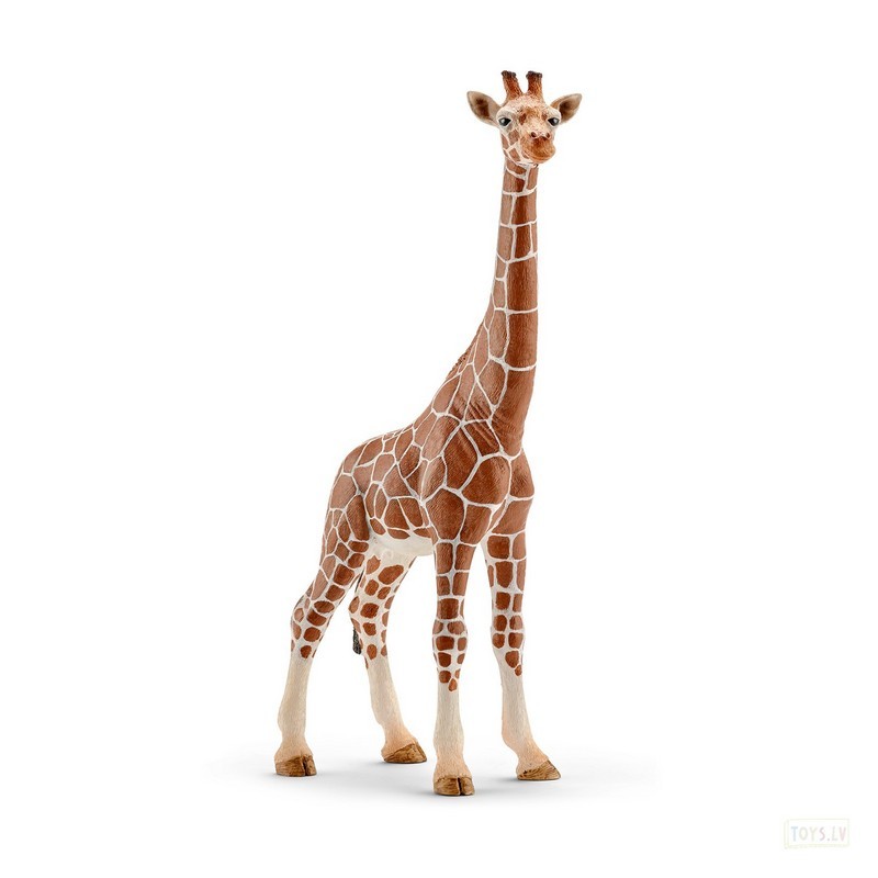 Фигурка SCHLEICH Жираф самка - фото 1