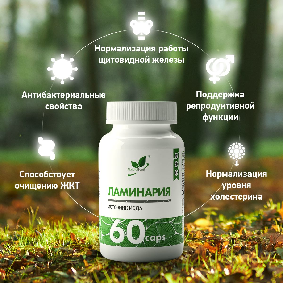 БАД Ламинария Йод 300 мкг NaturalSupp Келп Для иммунитета Для обмена веществ 60 капсул - фото 3