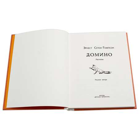 Книга Издательство Детская литература Домино