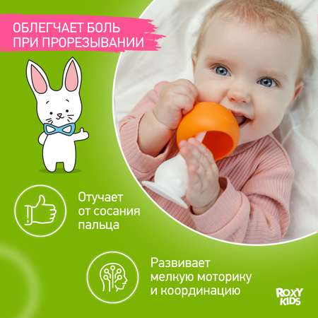 Прорезыватель для зубов ROXY-KIDS Грибочек с держателем в футляре цвет оранжевый