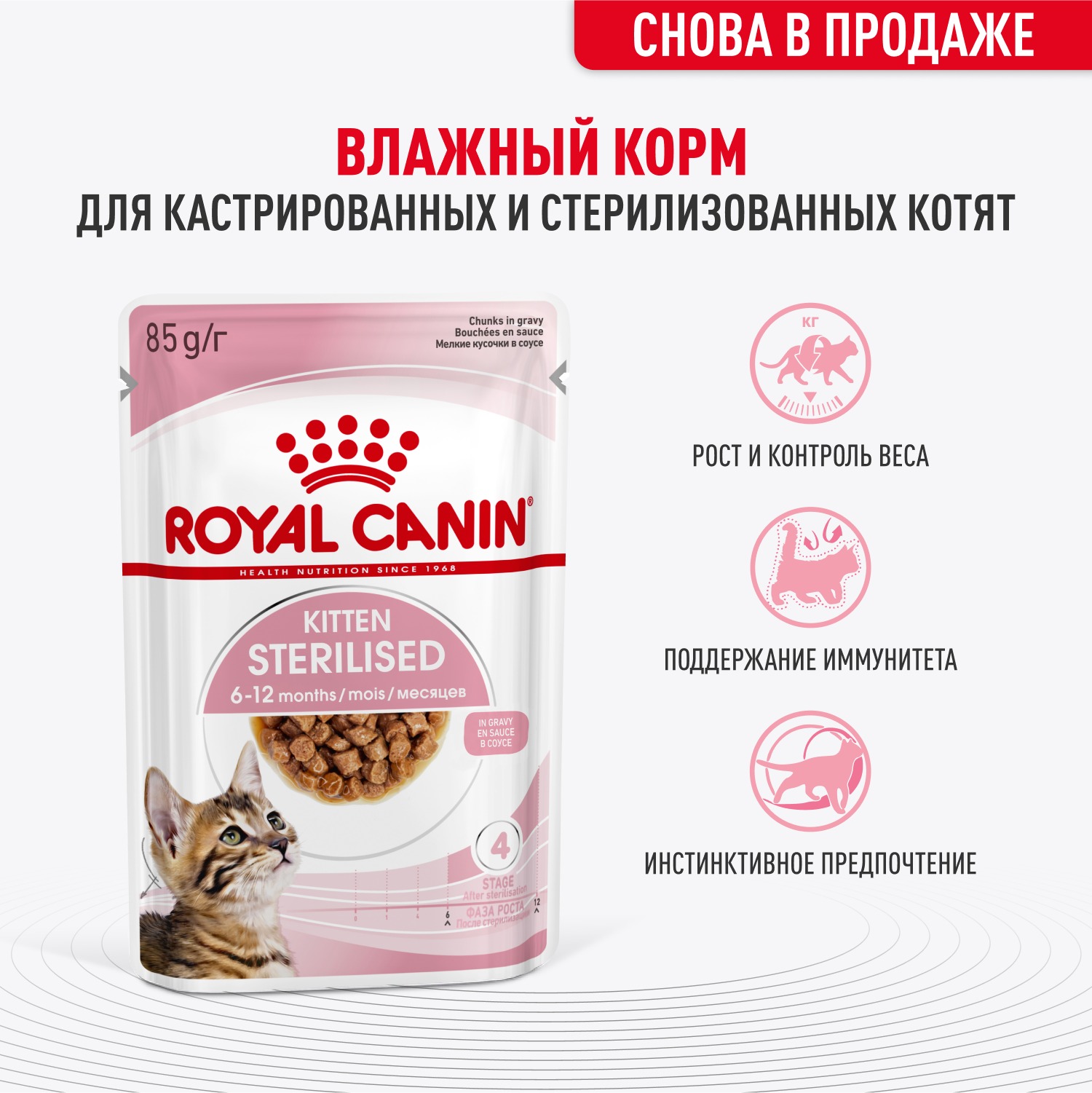 Корм для котят Royal Canin 85г Kitten Sterilised соус для стерилизованных котят пауч - фото 1