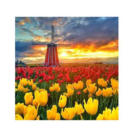 Картины мозаикой Molly Поля тюльпанов в Нидерландах 27 цветов