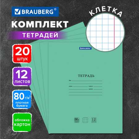 Тетрадь Brauberg комплект 20шт Extra клетка 12л