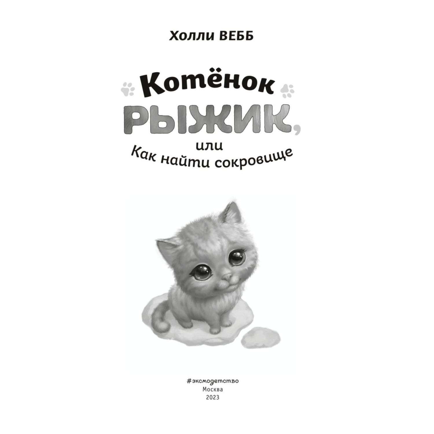 Книга Котёнок Рыжик или Как найти сокровище - фото 2