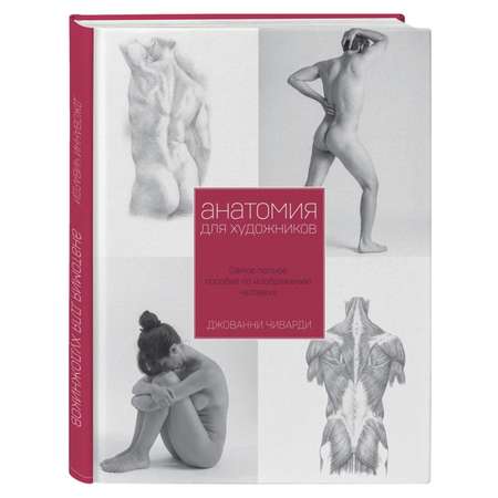Книга БОМБОРА Анатомия для художника Самое полное пособие по изображению человека
