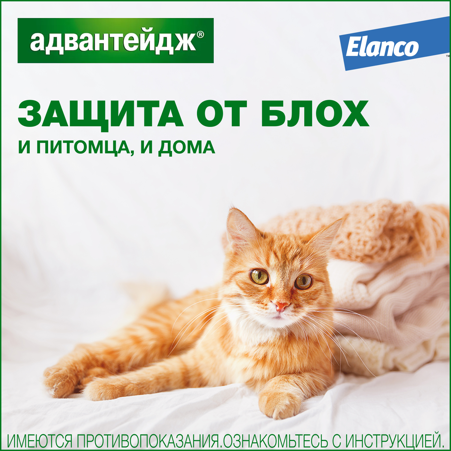 Капли для котят и кошек Elanco Адвантейдж против блох 1пипетка - фото 6