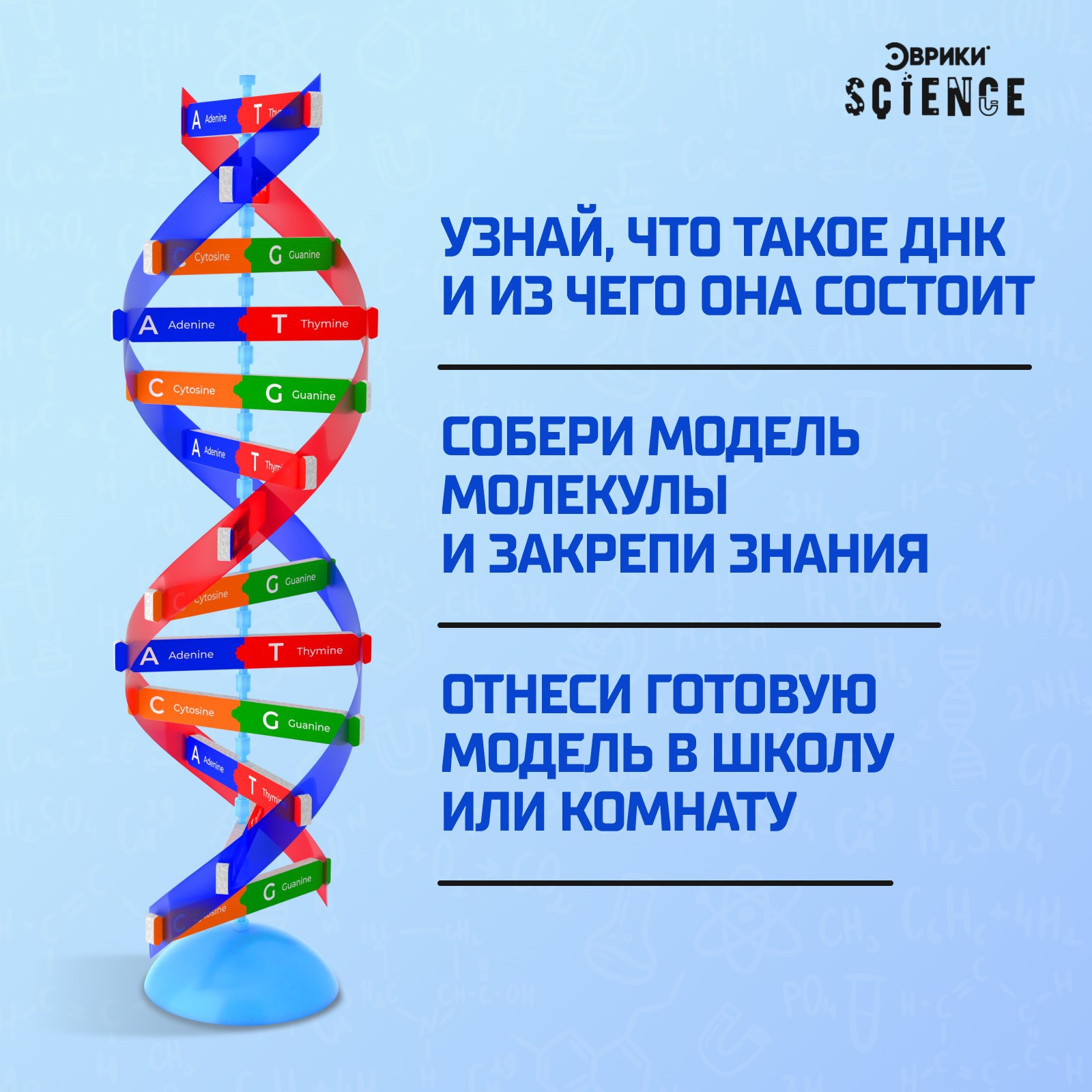 Набор Эврики Для опытов «Молекула ДНК» - фото 5