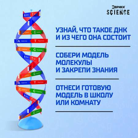 Набор Эврики Для опытов «Молекула ДНК»
