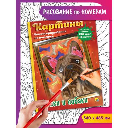 Раскраска Проф-Пресс Картины для раскрашивания по номерам Кошки и собаки